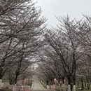 贵阳旅游 缩略图 8
