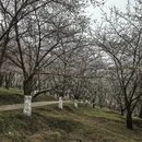 贵阳旅游 缩略图 7