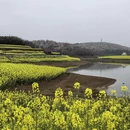 贵阳旅游 缩略图 10