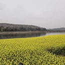贵阳旅游 缩略图 12