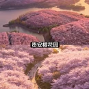 贵阳旅游 缩略图 6