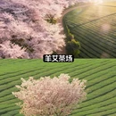 贵阳旅游 缩略图 7
