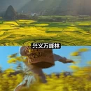 贵阳旅游 缩略图 9