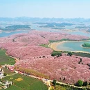 安顺旅游 缩略图 2