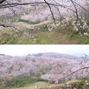 贵阳旅游 缩略图 1