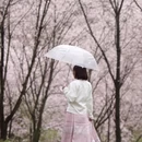 贵阳旅游 缩略图 5