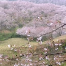 贵阳旅游 缩略图 4