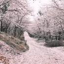 贵阳旅游 缩略图 2