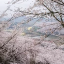 安顺旅游 缩略图 5