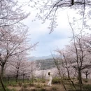 安顺旅游 缩略图 1