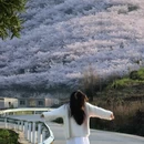贵阳旅游 缩略图 4