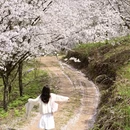 贵阳旅游 缩略图 9