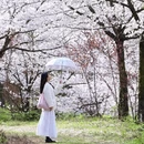 贵阳旅游 缩略图 10