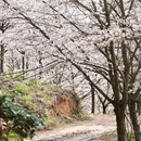贵阳旅游 缩略图 5