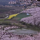 贵阳旅游 缩略图 11