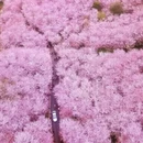 贵阳旅游 缩略图 5