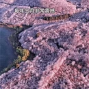 贵阳旅游 缩略图 5