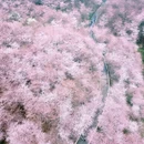 贵阳旅游 缩略图 3