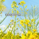 贵阳旅游 缩略图 11