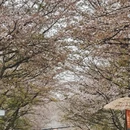 贵阳旅游 缩略图 4
