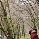 贵阳旅游 缩略图 6