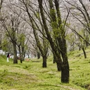 贵阳旅游 缩略图 2