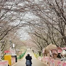 贵阳旅游 缩略图 1