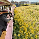 贵阳旅游 缩略图 7