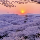 贵阳旅游 缩略图 5