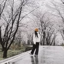 遵义旅游 缩略图 2