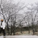 遵义旅游 缩略图 10