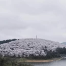 遵义旅游 缩略图 13