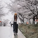 遵义旅游 缩略图 4