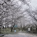 遵义旅游 缩略图 11