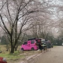 安顺旅游 缩略图 2