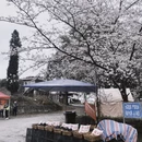 遵义旅游 缩略图 9