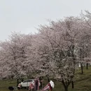 安顺旅游 缩略图 1