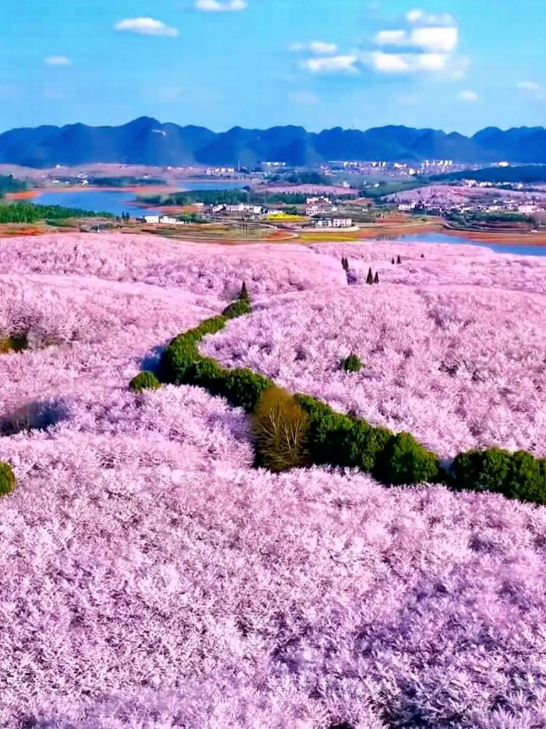 贵阳旅游