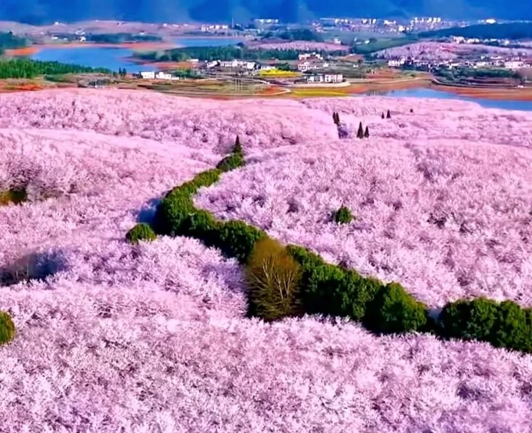 贵阳旅游 1