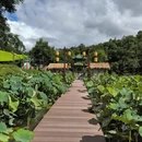 贵阳旅游 缩略图 5