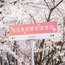 贵阳旅游 缩略图 1