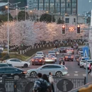 贵阳旅游 缩略图 3