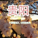 贵阳旅游 缩略图 1