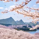 安顺旅游 缩略图 1
