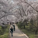 贵阳旅游 缩略图 3