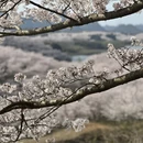 贵阳旅游 缩略图 5