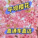 贵阳旅游 缩略图 1
