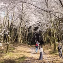 贵阳旅游 缩略图 4