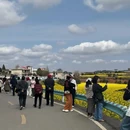 贵阳旅游 缩略图 5