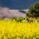 贵阳旅游 缩略图 4